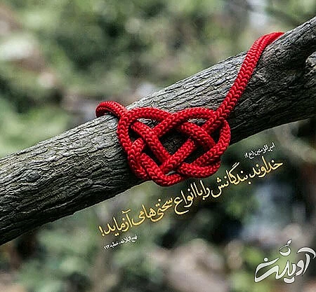 چه کسی قبول میشود؟